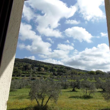 Willa Agriturismo Il Vecchio Imposto Massa Marittima Zewnętrze zdjęcie