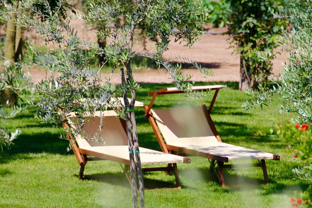 Willa Agriturismo Il Vecchio Imposto Massa Marittima Zewnętrze zdjęcie