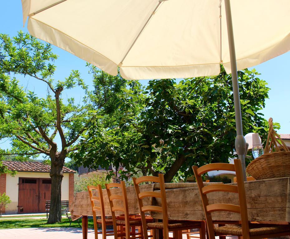 Willa Agriturismo Il Vecchio Imposto Massa Marittima Zewnętrze zdjęcie